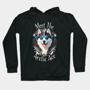 Meet the arctic ace Hoodie